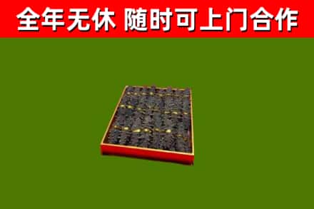 资源回收海参
